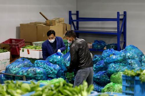 上海菜篮子保卫战,抢种蔬菜8万多亩,全力保障城市供应 上海菜篮子保卫战,抢种蔬菜8万多亩,全力保障城市供应