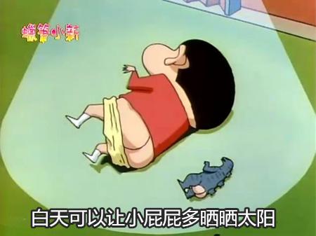 一年被隔离七次,在循环中寻找确定性的普通人 一年被隔离七次,在循环中寻找确定性的普通人