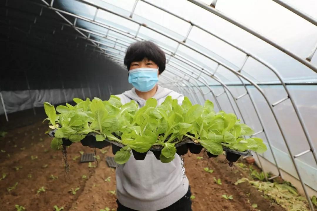 香河疫情期间保供企业名单,筑牢民生防线,传递温暖力量 香河疫情期间保供企业名单,筑牢民生防线,传递温暖力量