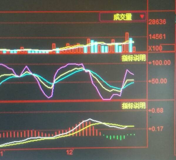 600723走势分析/600203走势 600723走势分析/600203走势