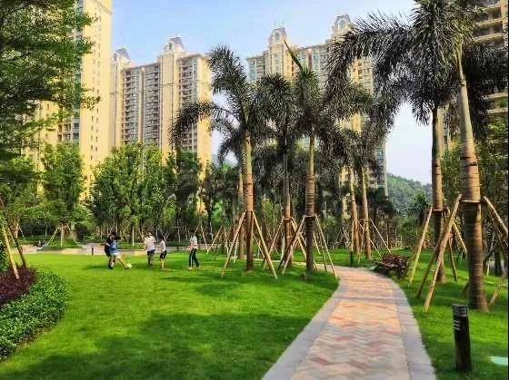 烟台青华中学百度百科—探秘港城知名学府的成长之路 烟台青华中学百度百科—探秘港城知名学府的成长之路