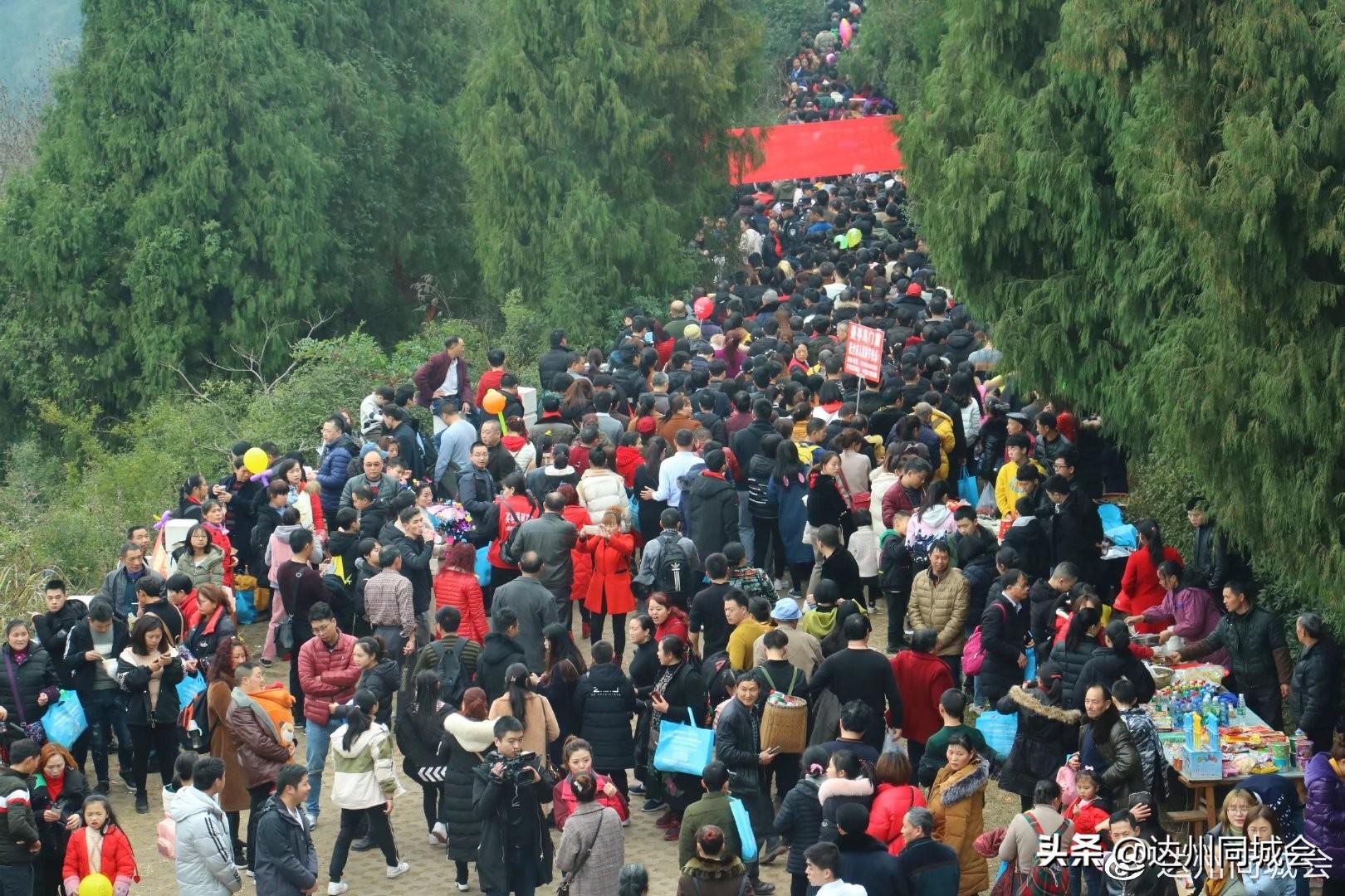 全球新冠疫情最新消息,今日统计与趋势分析 全球新冠疫情最新消息,今日统计与趋势分析