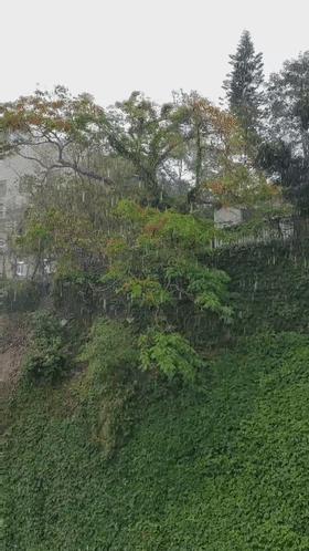 厦门疫情起始,一座海滨城市的猝不及防 厦门疫情起始,一座海滨城市的猝不及防
