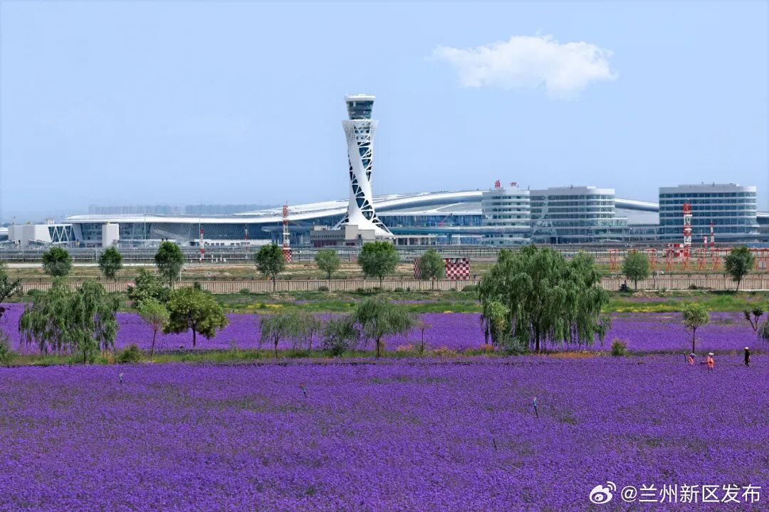 兰州新区最新动态,打造西部发展新高地,多个重点项目加速推进 兰州新区最新动态,打造西部发展新高地,多个重点项目加速推进