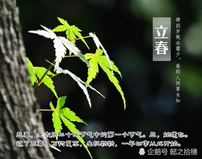 大春是几月几号2021年几点到几点?一文读懂立春的准确时间与习俗 大春是几月几号2021年几点到几点?一文读懂立春的准确时间与习俗