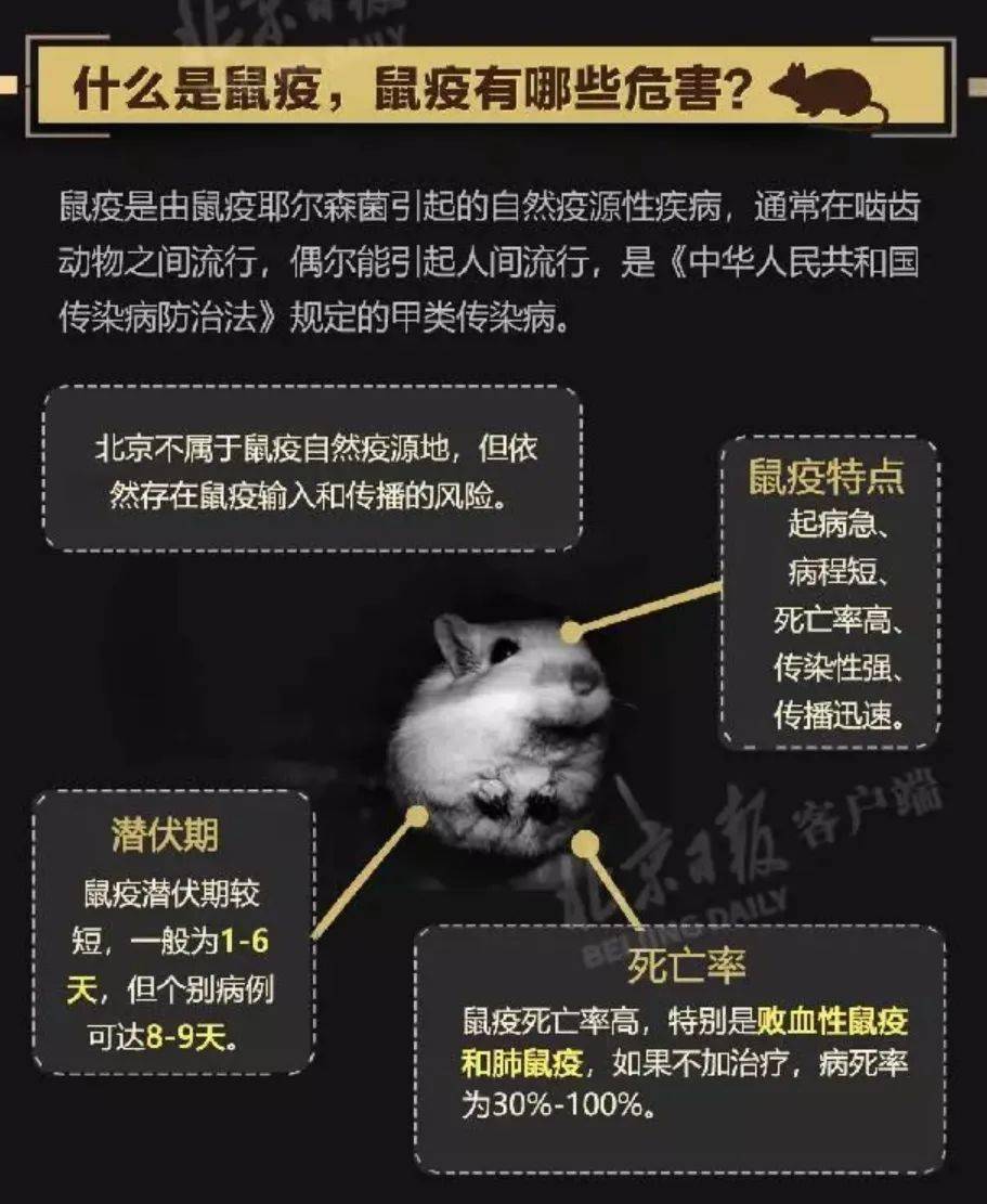 内蒙古确诊鼠疫病例,公共卫生应急机制迅速启动 内蒙古确诊鼠疫病例,公共卫生应急机制迅速启动