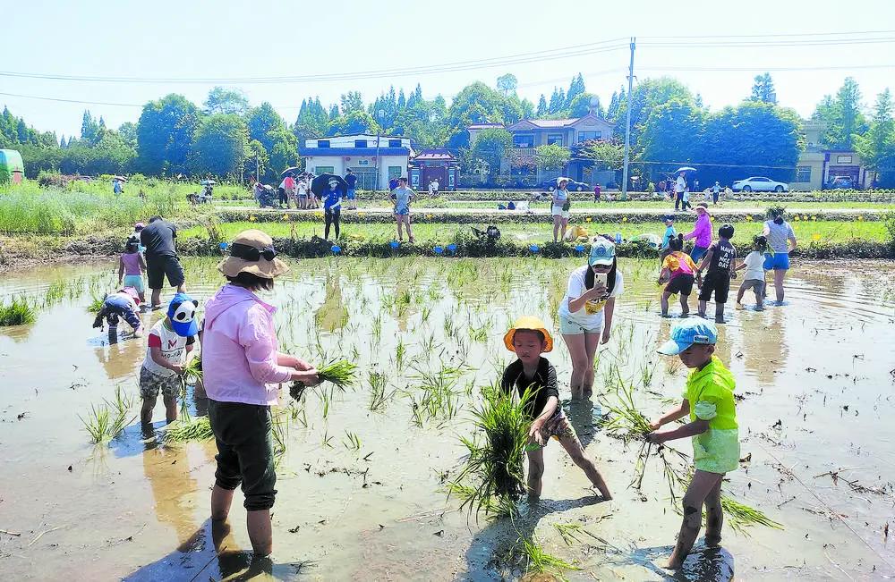 都江堰疫情情况:都江堰疫情最新消息分布图 都江堰疫情情况:都江堰疫情最新消息分布图