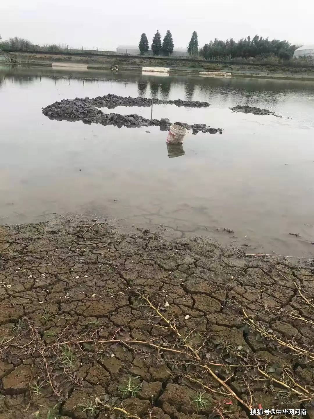 嘉兴鱼塘不明坠物结果/嘉兴渔塘坠入不明物体 嘉兴鱼塘不明坠物结果/嘉兴渔塘坠入不明物体