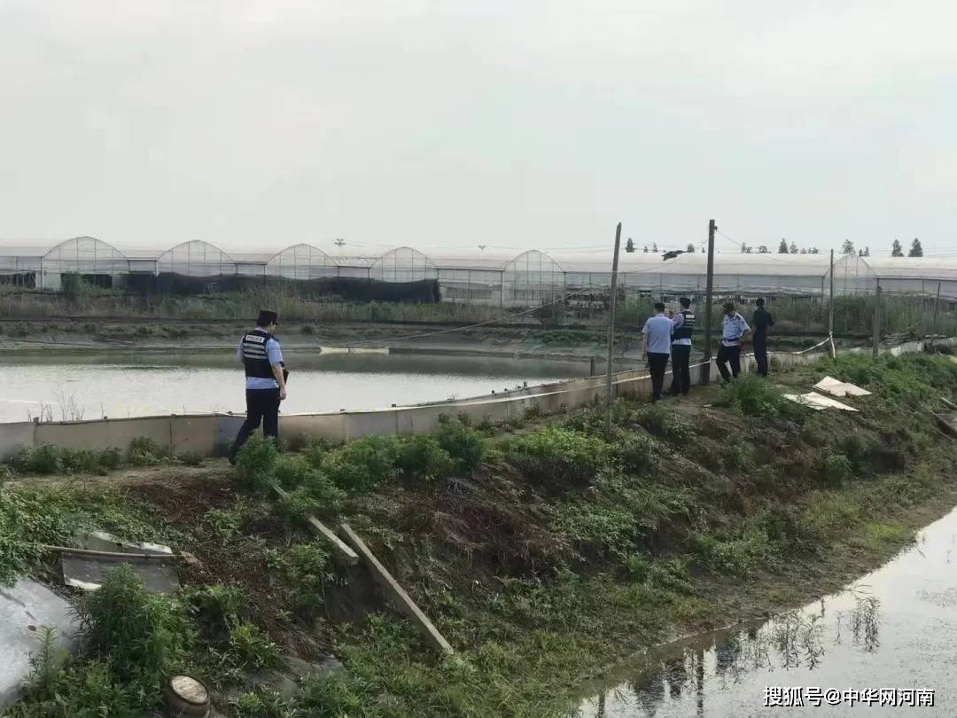 嘉兴鱼塘不明坠物结果/嘉兴渔塘坠入不明物体 嘉兴鱼塘不明坠物结果/嘉兴渔塘坠入不明物体