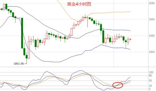 国内黄金价格走势图(国内黄金价格走势图金投网) 国内黄金价格走势图(国内黄金价格走势图金投网)