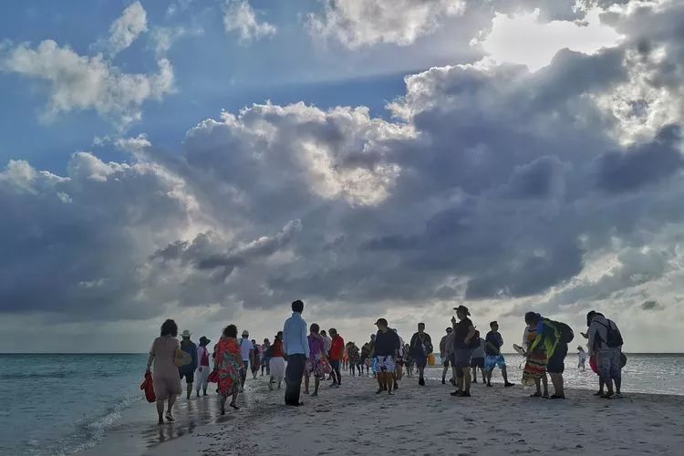 海阔天空免费下载网站,便捷背后的隐忧与选择 海阔天空免费下载网站,便捷背后的隐忧与选择
