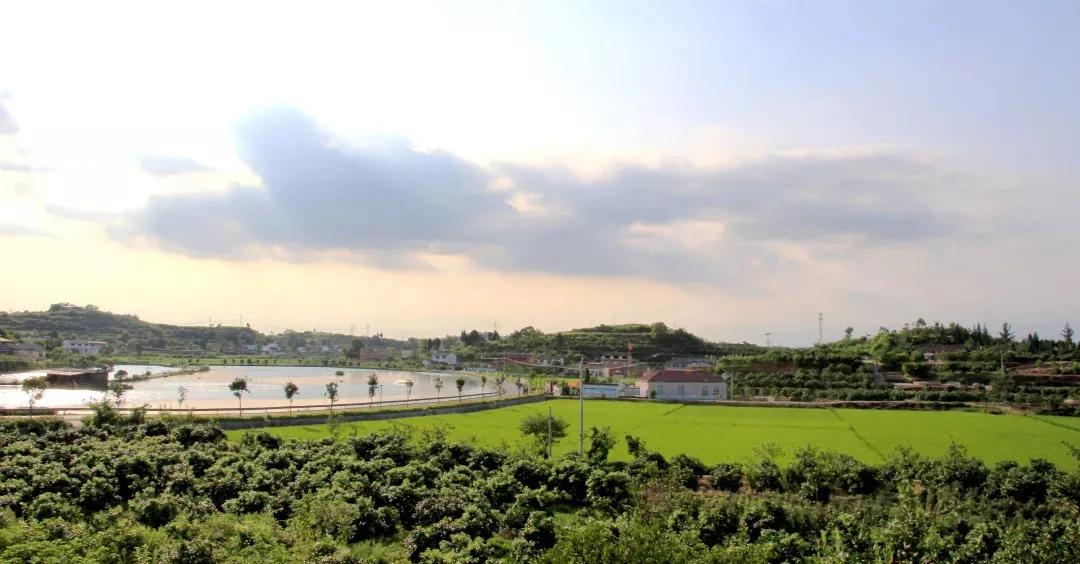 清明踏青正当时,高速免费出行全攻略 清明踏青正当时,高速免费出行全攻略