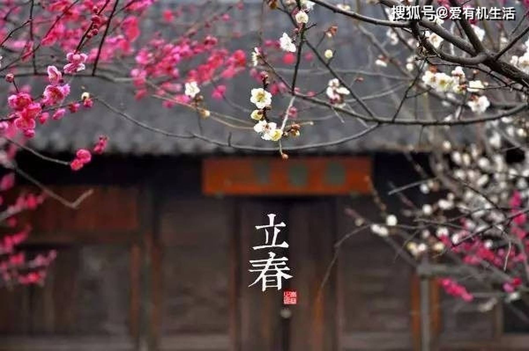2021年大春是什么时辰 2021年大春是什么时辰