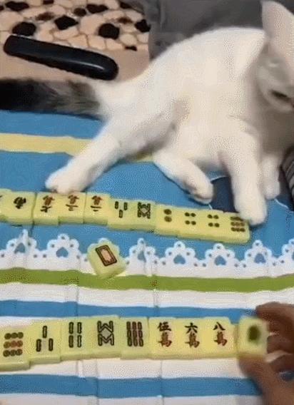 【感染14亿人需要几天解除隔离,感染人数会超过一亿吗】 【感染14亿人需要几天解除隔离,感染人数会超过一亿吗】