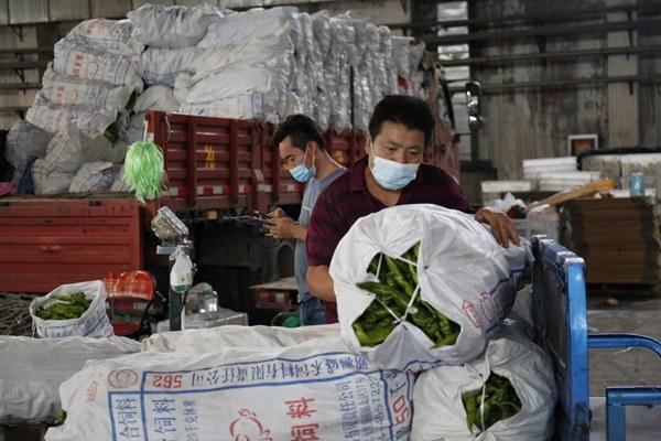 新疆疫情防控下的封城措施,保障人民健康与社会稳定 新疆疫情防控下的封城措施,保障人民健康与社会稳定