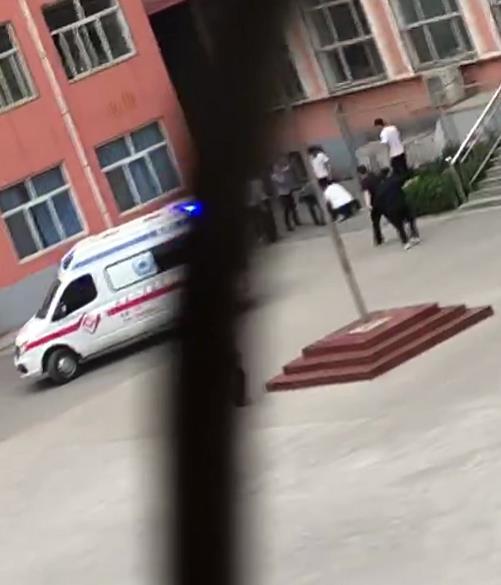 石家庄某中学/石家庄某中学学生坠楼 石家庄某中学/石家庄某中学学生坠楼