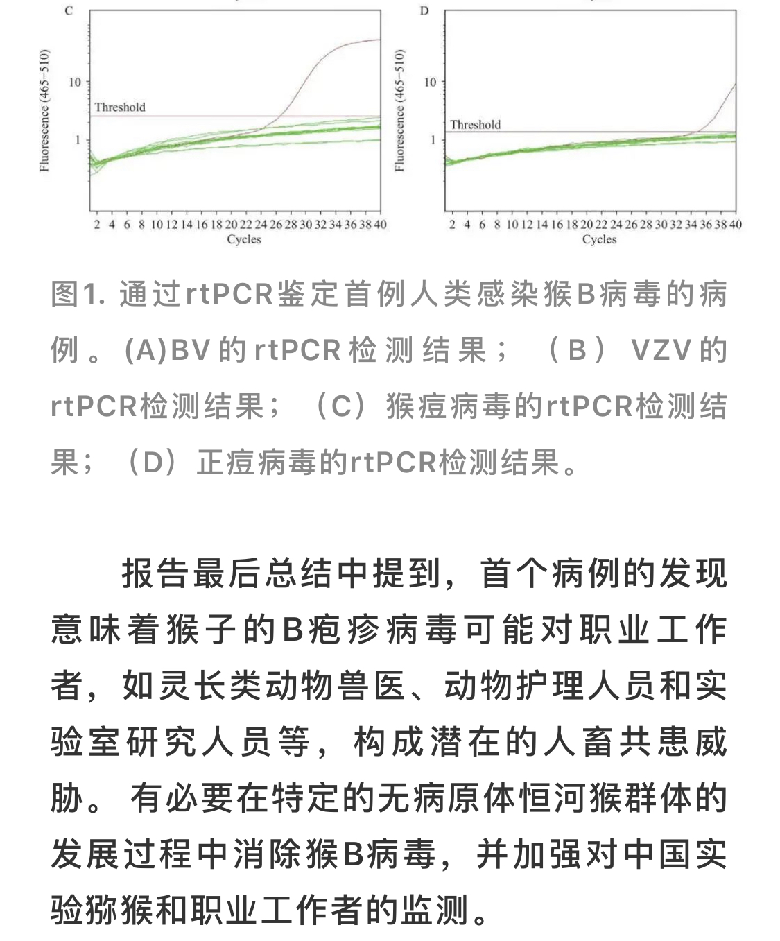 【中国感染猴b病毒致死,首例感染猴b病毒死亡】 【中国感染猴b病毒致死,首例感染猴b病毒死亡】