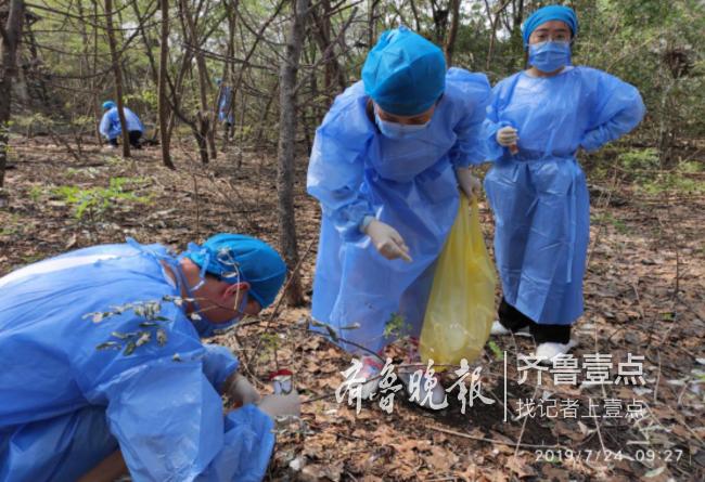 【北京禽流感血清,禽流感血清学诊断常用】 【北京禽流感血清,禽流感血清学诊断常用】
