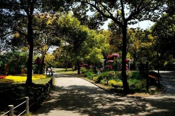 上海疫情发布会11人确诊:上海疫情发布会105场 上海疫情发布会11人确诊:上海疫情发布会105场