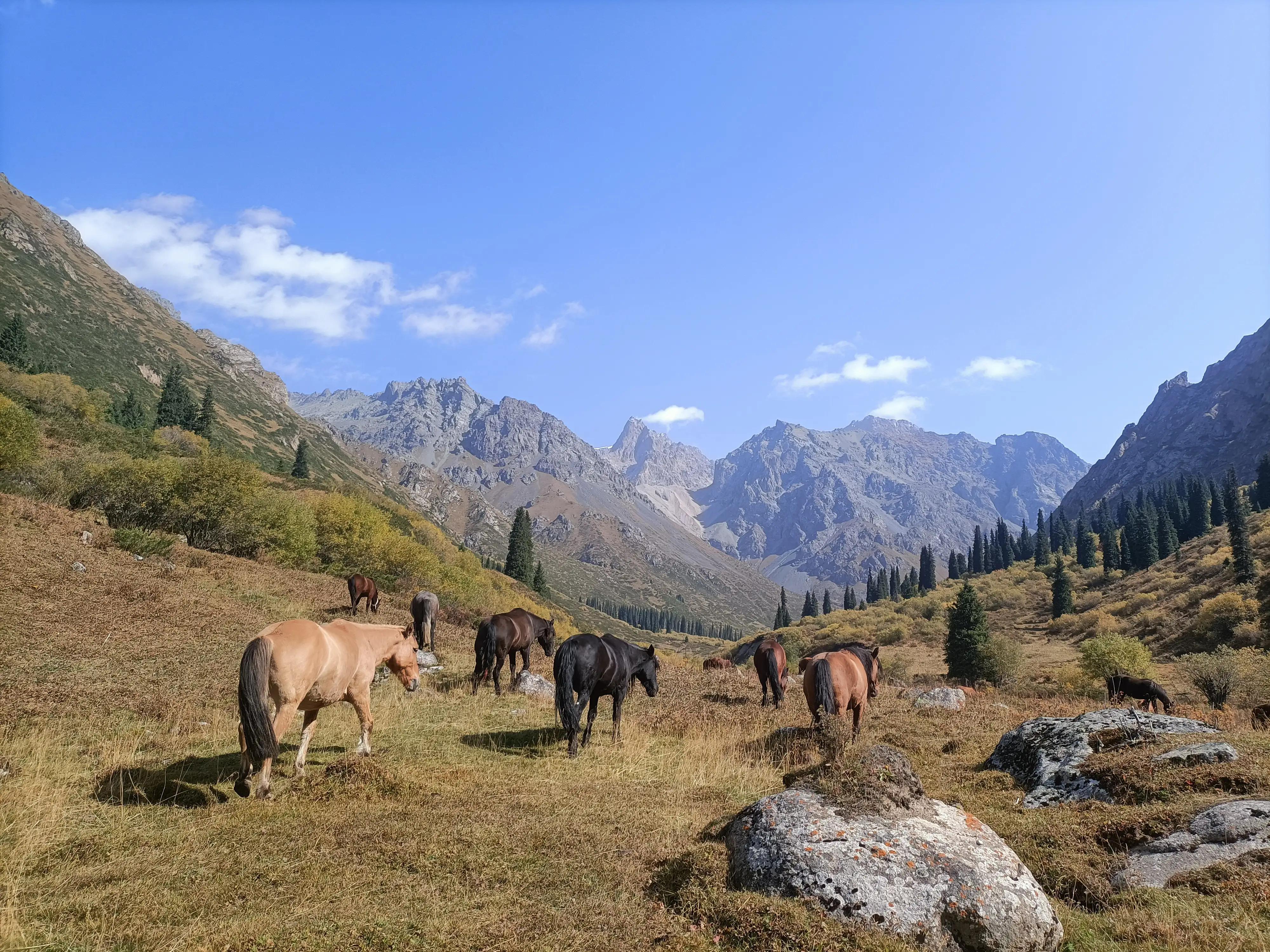 中秋节放假2021时间表/中秋节放假 2021