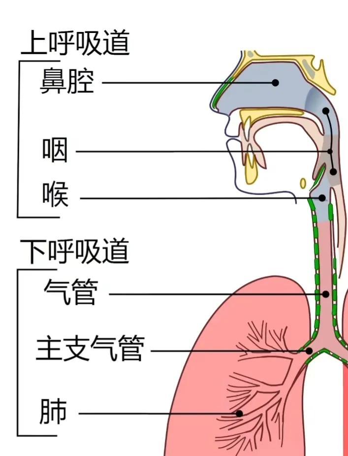 【无锡检出奥密克戎感染者/无锡检出奥密克戎感染者了吗】 【无锡检出奥密克戎感染者/无锡检出奥密克戎感染者了吗】