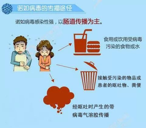 如何区分诺如和肠胃炎/诺如病毒一般几天自愈 如何区分诺如和肠胃炎/诺如病毒一般几天自愈