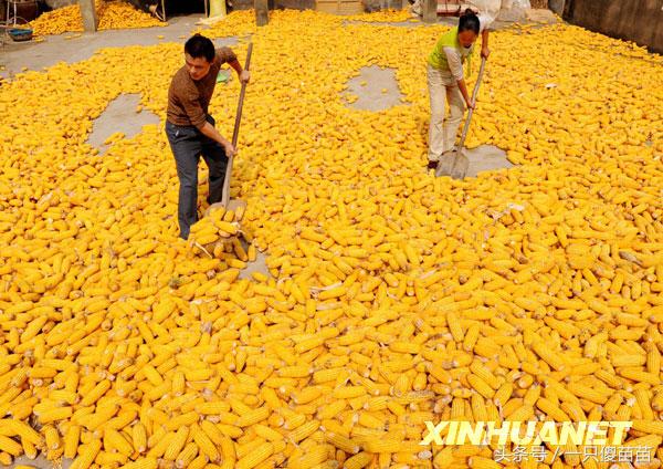 25天春节长假,如何规划十一与春节的完美衔接 25天春节长假,如何规划十一与春节的完美衔接