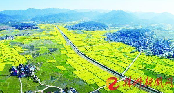 株洲新闻网近期热点聚焦,产业升级、民生改善与文化繁荣共绘发展新图景 株洲新闻网近期热点聚焦,产业升级、民生改善与文化繁荣共绘发展新图景