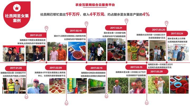 圣女果采购网:圣女果市场价格