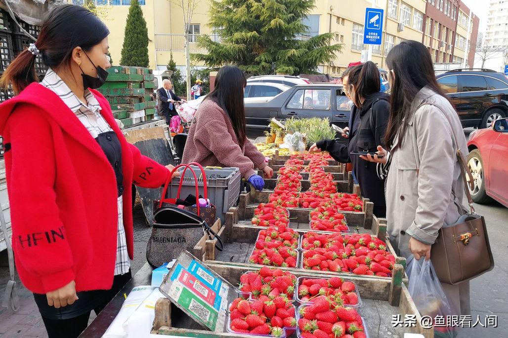 圣女果采购网:圣女果市场价格