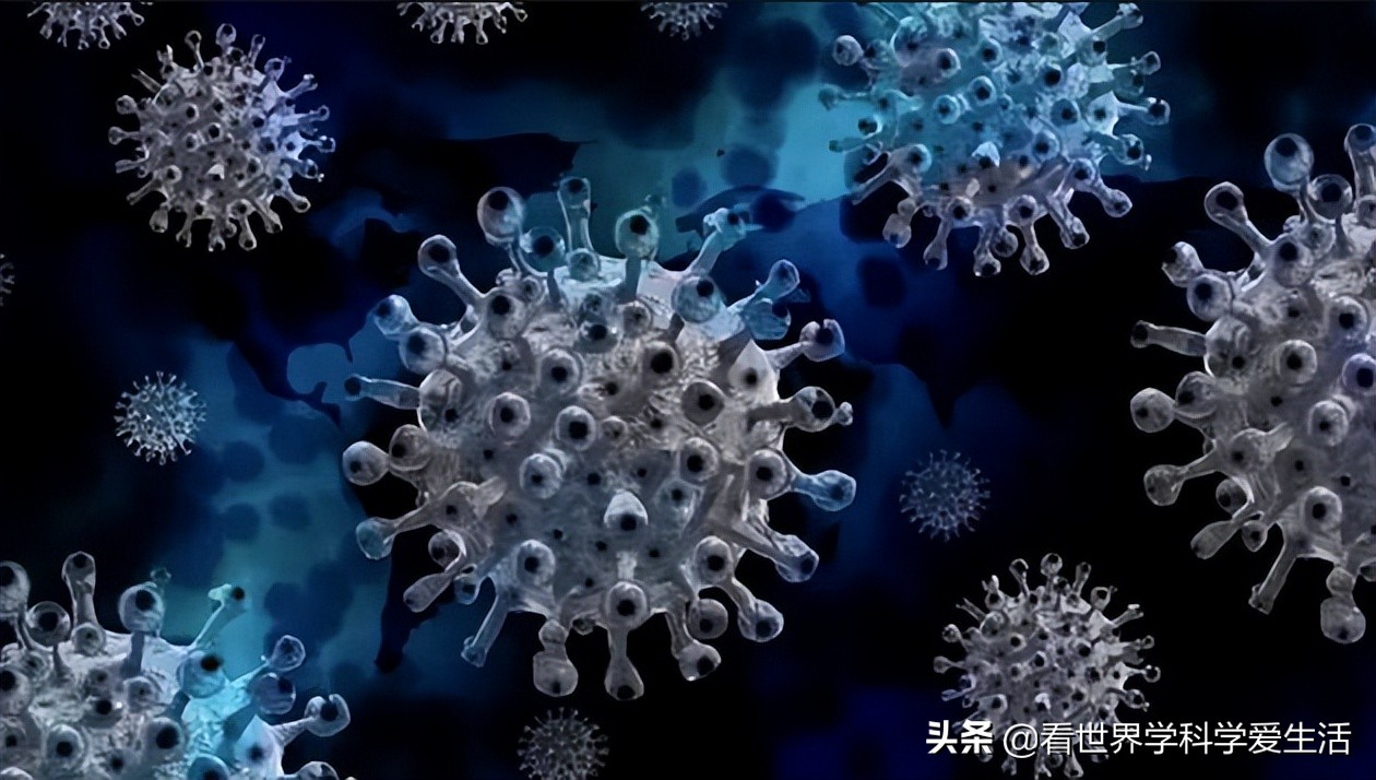 新冠病毒的变异之旅,究竟发生了多少次变异? 新冠病毒的变异之旅,究竟发生了多少次变异?