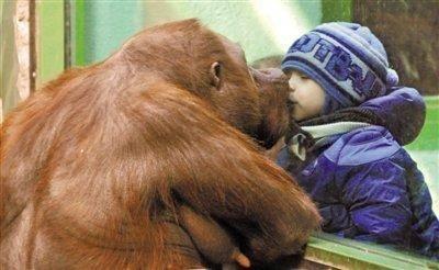 全球最新疫情最新动态/全球最新疫情最新消息排名表 全球最新疫情最新动态/全球最新疫情最新消息排名表