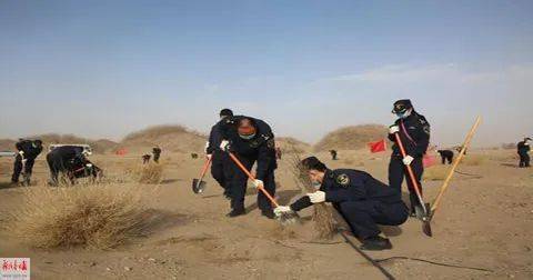风沙中的坚守,额济纳旗形势严峻,考验与希望并存 风沙中的坚守,额济纳旗形势严峻,考验与希望并存