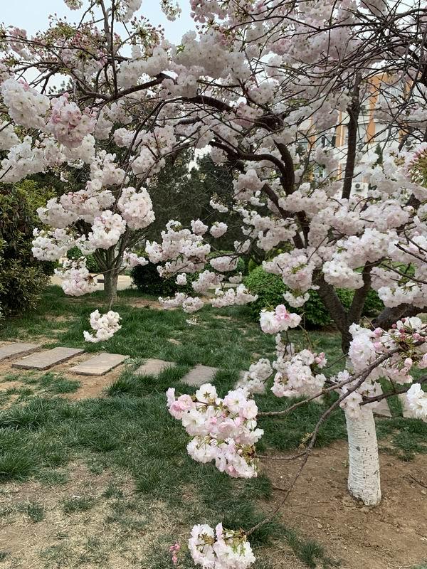 安阳工学院怎么样?就业前景:安阳工学院怎么样?如何评价知乎 安阳工学院怎么样?就业前景:安阳工学院怎么样?如何评价知乎