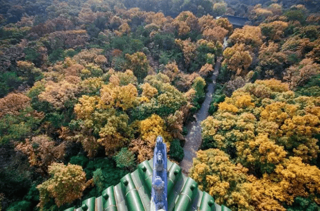 南京最建议不去的三个地方 南京最建议不去的三个地方