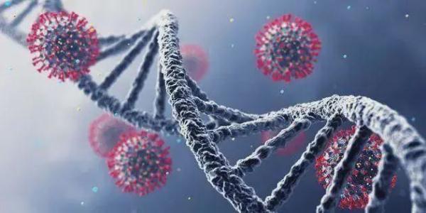 拉姆达变异毒株可逃避中和抗体,这意味着什么? 拉姆达变异毒株可逃避中和抗体,这意味着什么?