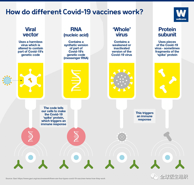 新毒株传染性更强/新冠新毒株传播力度 新毒株传染性更强/新冠新毒株传播力度