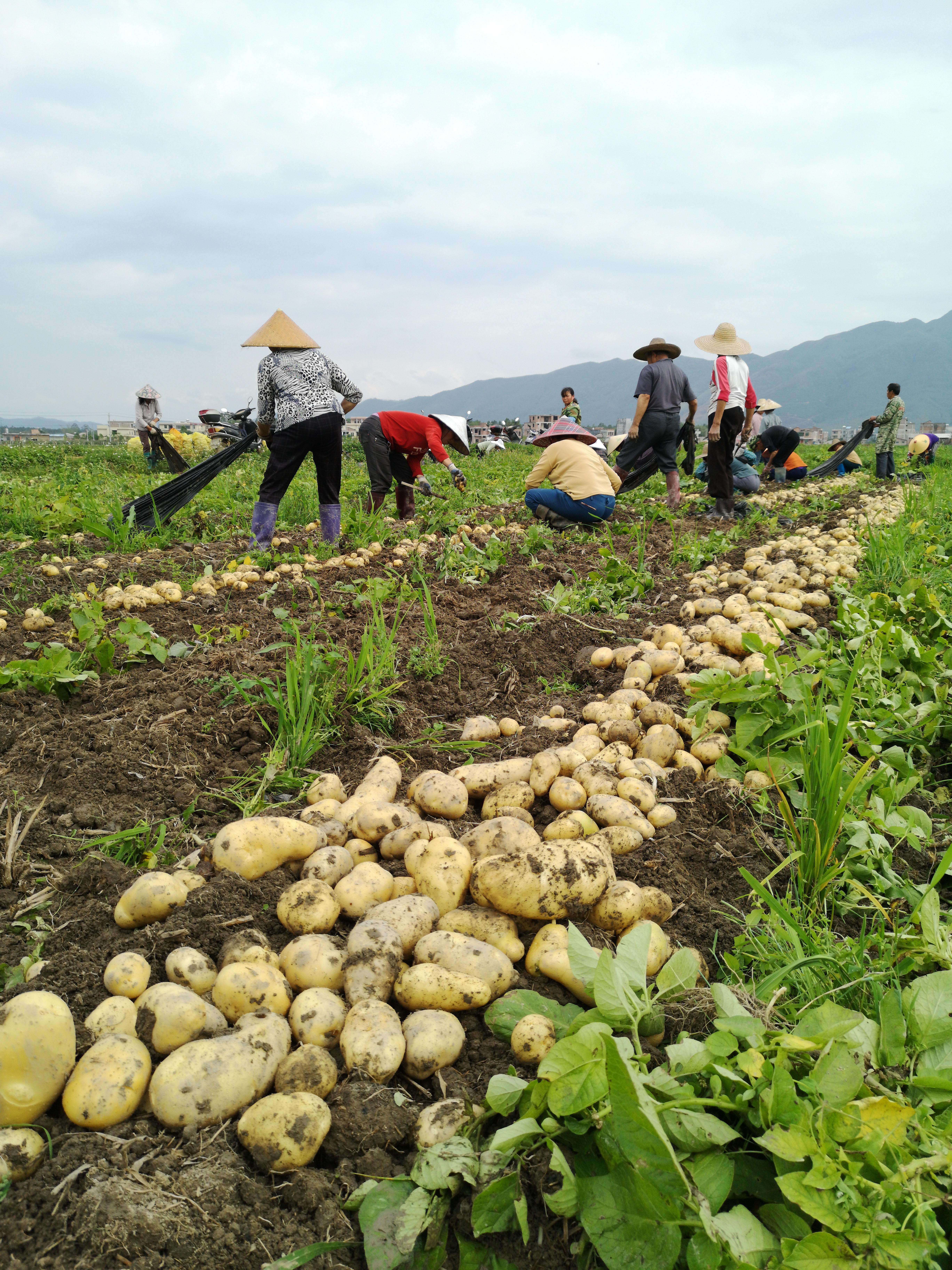 广西最新疫情情况今日通报,新增本土确诊病例持续下降,防控措施成效显著 广西最新疫情情况今日通报,新增本土确诊病例持续下降,防控措施成效显著