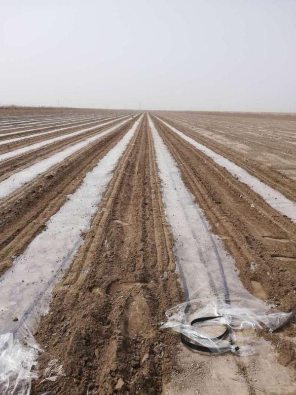 【新疆新闻最新消息/新疆最新新闻报道】 【新疆新闻最新消息/新疆最新新闻报道】