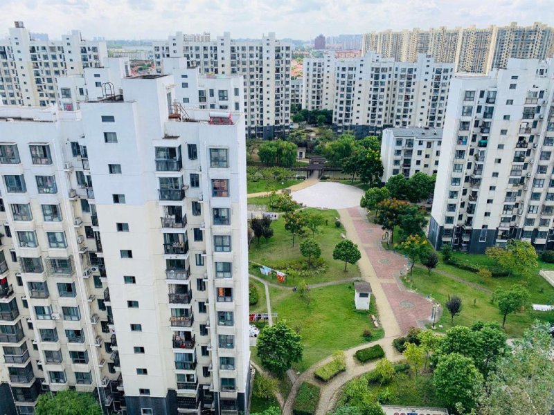 新高苑佳园/新高苑佳园物业