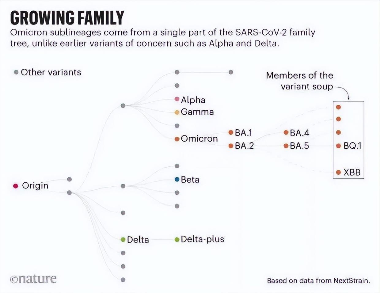 病毒变异株的命名,从希腊字母到科学溯源 病毒变异株的命名,从希腊字母到科学溯源