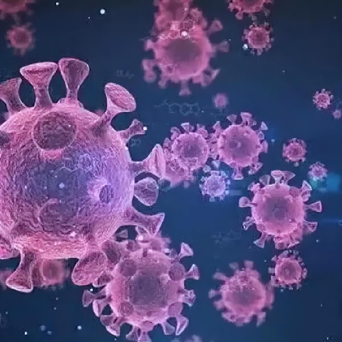 得了新冠都有那些症状/得了新冠都有那些症状表现 得了新冠都有那些症状/得了新冠都有那些症状表现