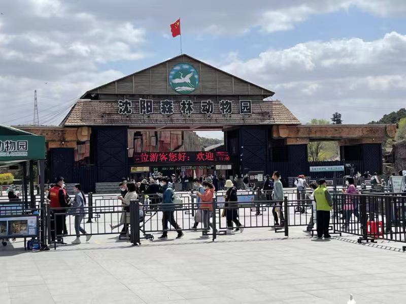 沈阳高风险吗?当前疫情形势分析与防护建议 沈阳高风险吗?当前疫情形势分析与防护建议