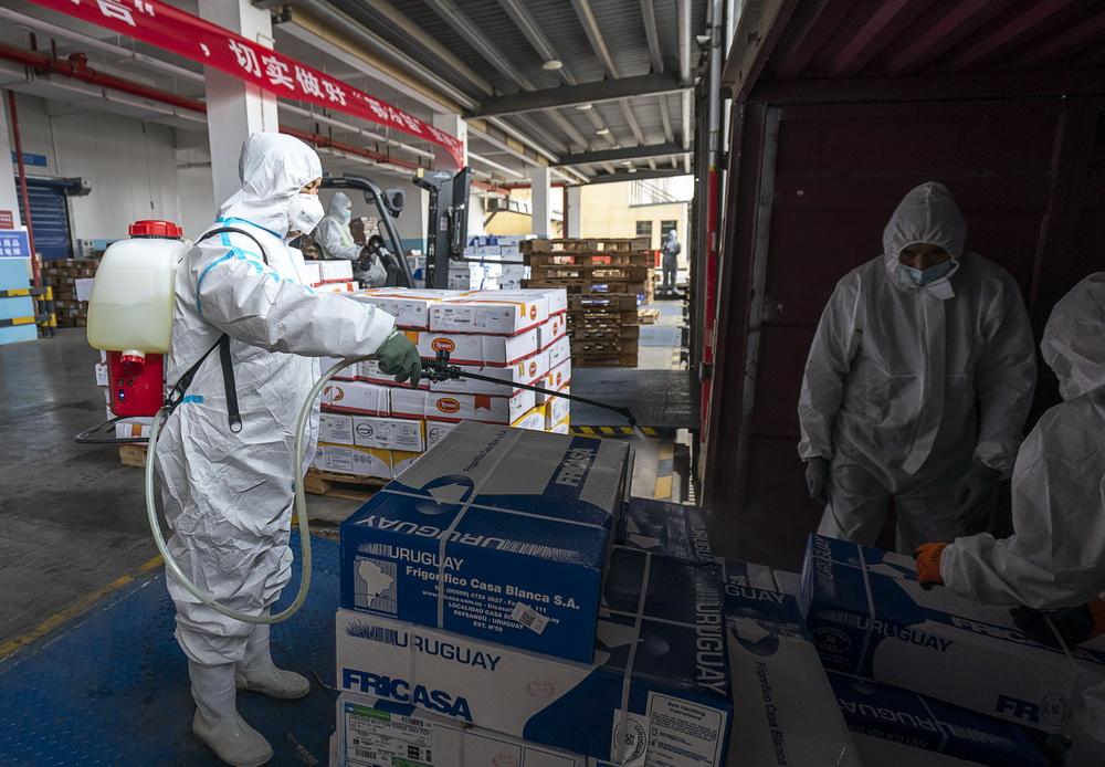 沈阳高风险吗?当前疫情形势分析与防护建议 沈阳高风险吗?当前疫情形势分析与防护建议