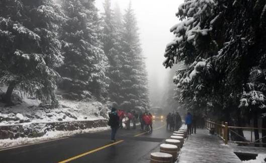 风雪伊犁夜,300余名游客滞留背后的温暖守护 风雪伊犁夜,300余名游客滞留背后的温暖守护