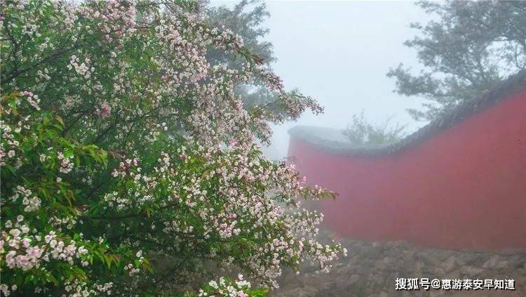 守望黎明,愿大庆疫情早日云开雾散 守望黎明,愿大庆疫情早日云开雾散