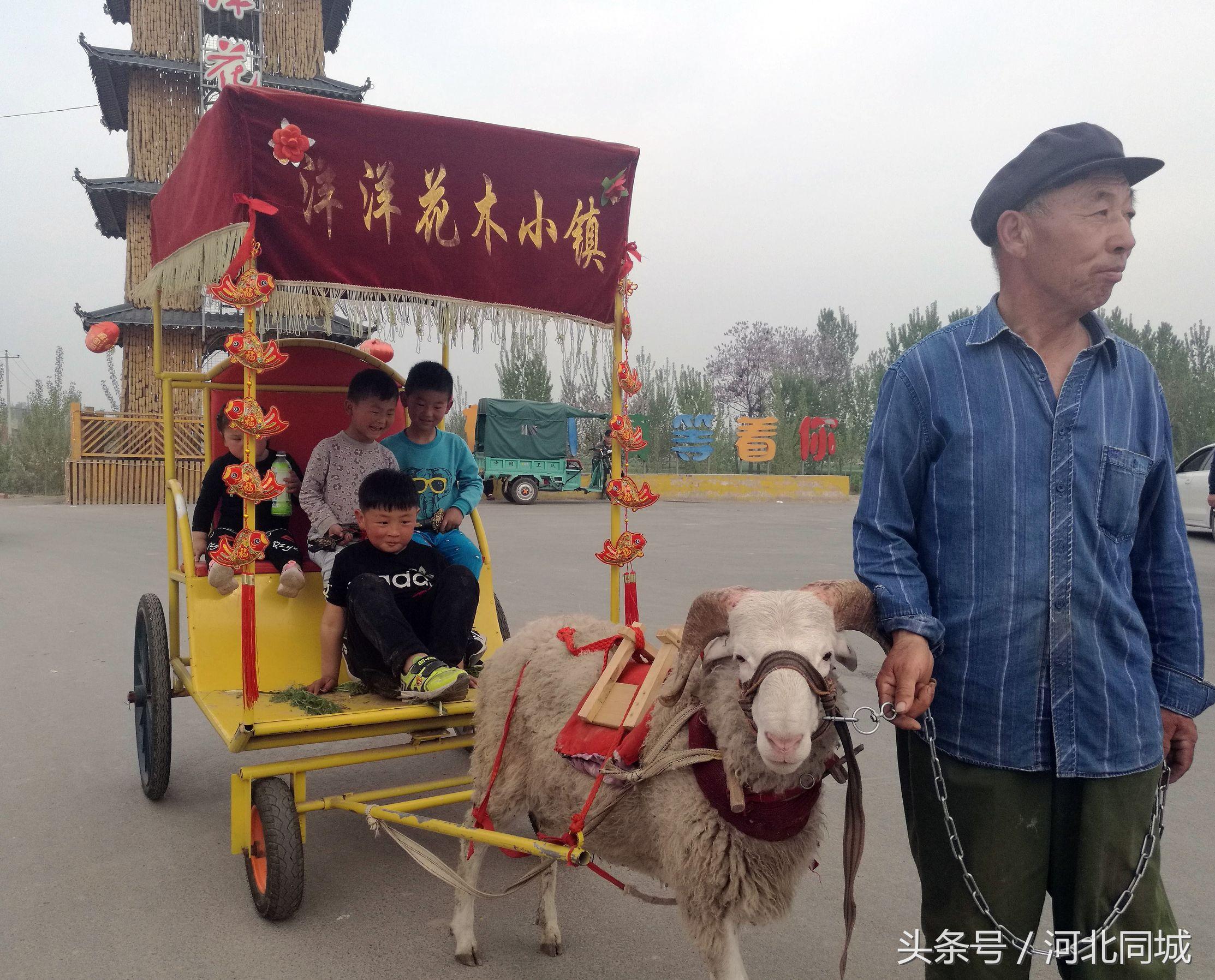 【邯郸最新限号通知图片/邯郸最新限号区域图】