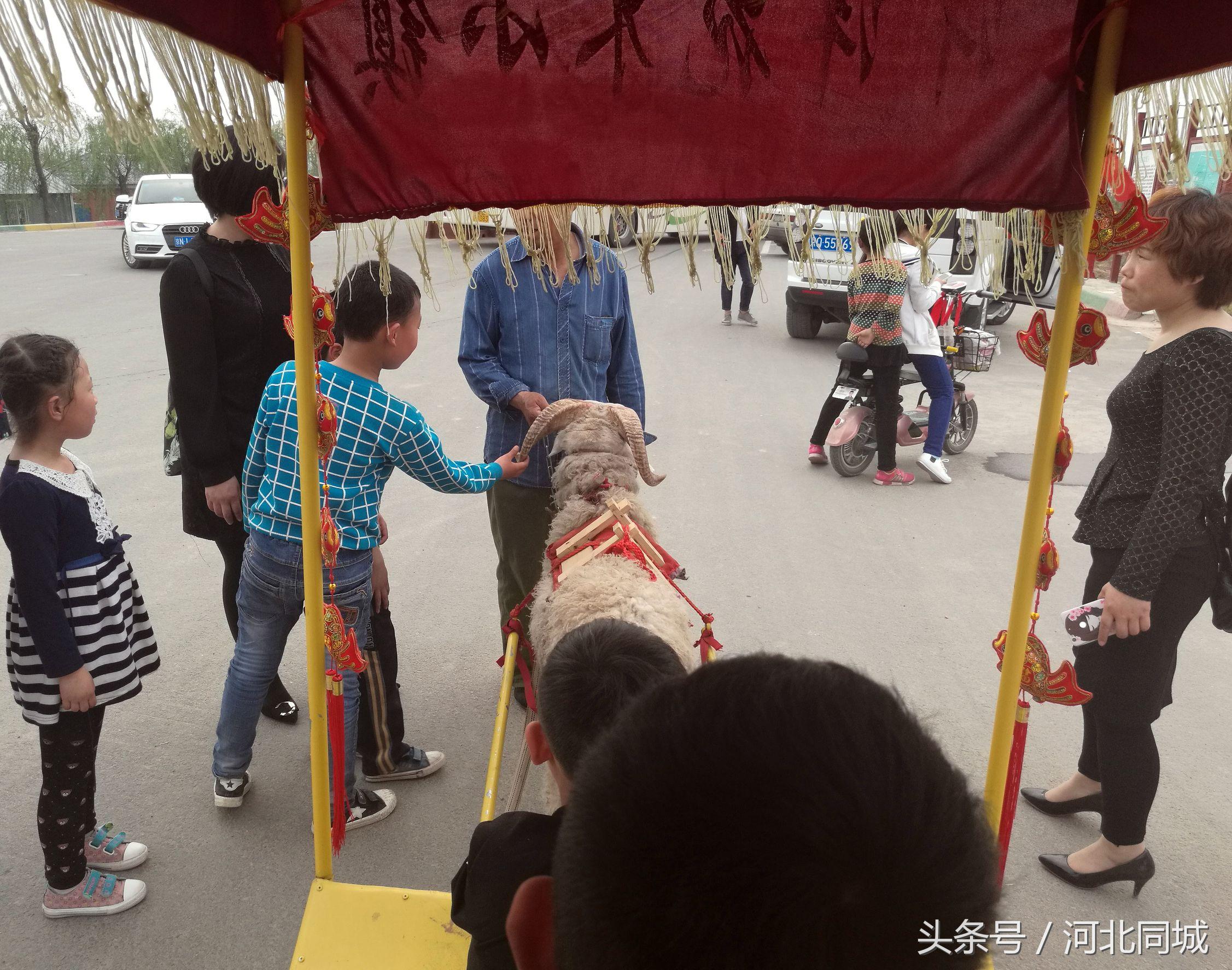 【邯郸最新限号通知图片/邯郸最新限号区域图】