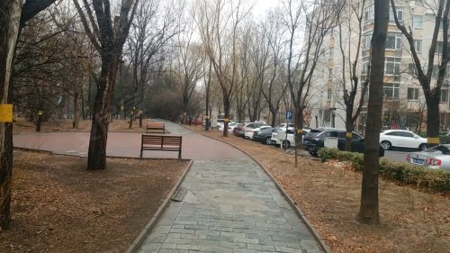 龙跃苑二区属于什么街道?详细归属及社区信息解读 龙跃苑二区属于什么街道?详细归属及社区信息解读