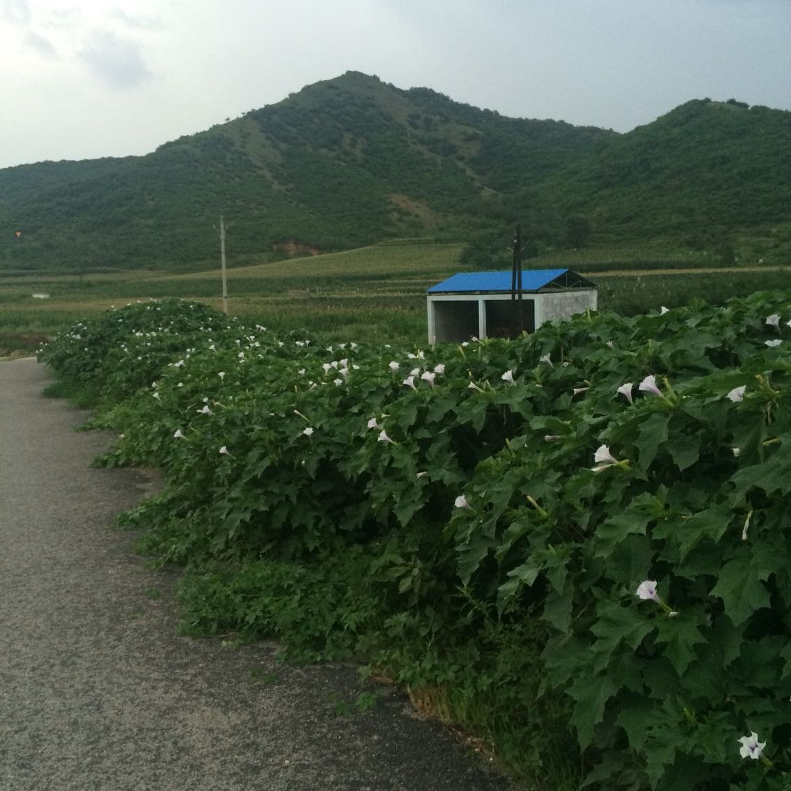 【辽宁盖县天气预报/辽宁盖卅天气预报】 【辽宁盖县天气预报/辽宁盖卅天气预报】